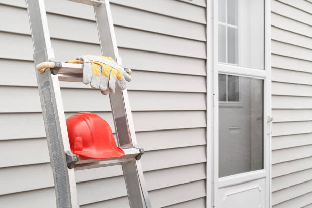 Best Residential Vinyl Siding Installation  in Alexandria, VA