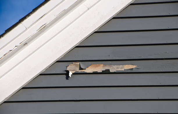 Best Stucco Siding  in Alexandria, VA