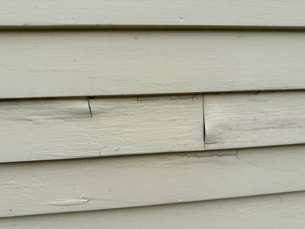 Best Fascia and Soffit Installation  in Alexandria, VA